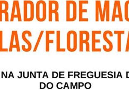 Curso “Manobrador de máquinas”