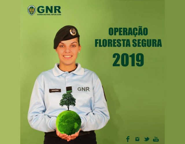 Operação Floresta Segura 2019