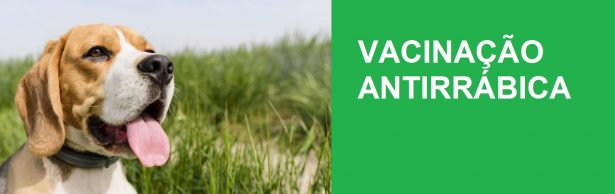 vacinação antirrábica 16 de Setembro de 2022 às 16h30
